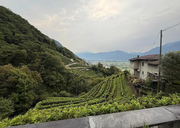 Romantic Ticino Rustici Apartment *